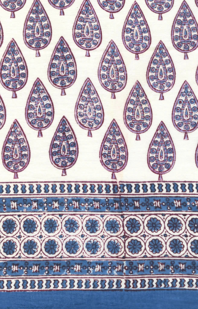 violet_cypress_1024x1024