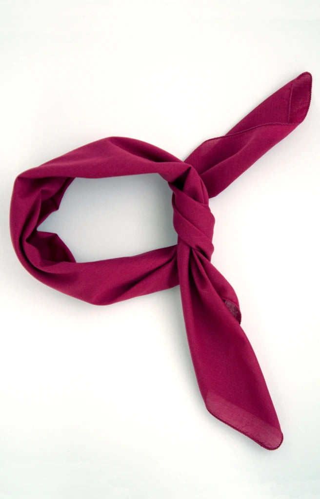 raspberry_30x30_0eebe8a4-c6d6-4a78-b755-0b9e141ce3e0_1024x1024